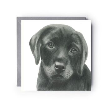 Adorable Labrador Puppy Hand Drawn Card, 2 of 7