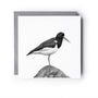 Oystercatcher Bird – Hand Drawn Coastal Greeting Card Illustration, thumbnail 3 of 9