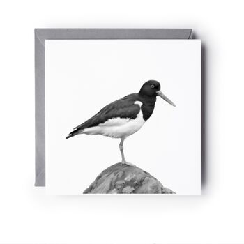 Oystercatcher Bird – Hand Drawn Coastal Greeting Card Illustration, 3 of 9