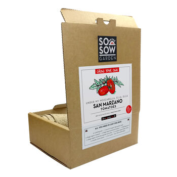San Marzano Tomato Grow Your Own Kit, 6 of 9