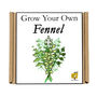 Gardening Gift. Grow Your Own Herbs. Fennel Seeds Kit, thumbnail 4 of 4