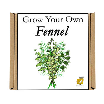 Gardening Gift. Grow Your Own Herbs. Fennel Seeds Kit, 4 of 4