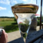 English Wine Tour With Travel From London, thumbnail 4 of 7