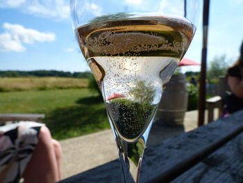 English Wine Tour With Travel From London, 4 of 7