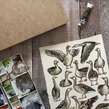 Gaggle Of Geese Watercolour Print, 8 of 9