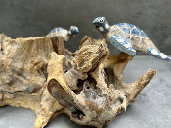 Set Of Three Swimming Turtles On Driftwood – Handmade Gift, 8 of 11
