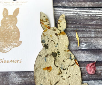 Easter Bunny, Lamb And Chick Seed Paper Card Set, 4 of 7