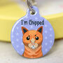 Personalised Cat Breed Name Tag, thumbnail 9 of 12