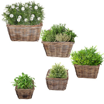 Mitchell Boho Rattan Planter, 2 of 4
