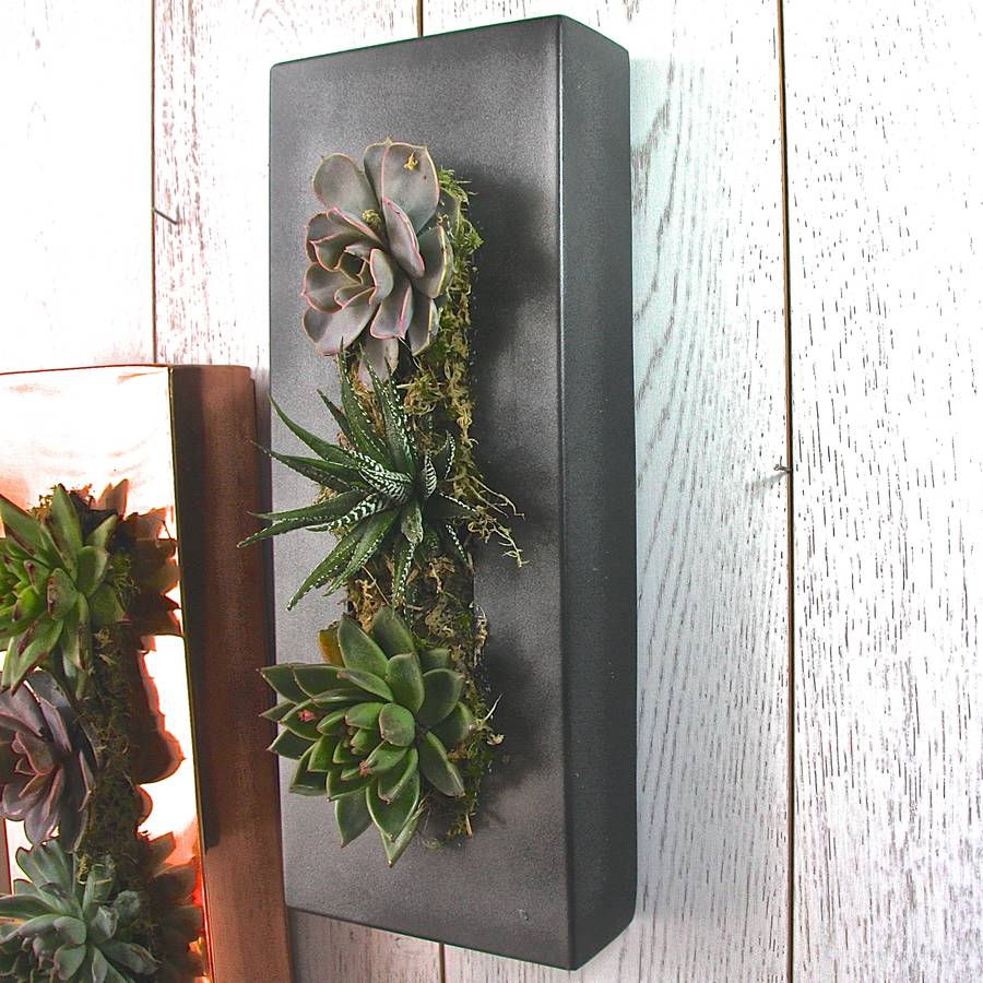 picture frame garden wall planter by london garden trading