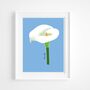 Arum Lily Print On Blue, thumbnail 1 of 7