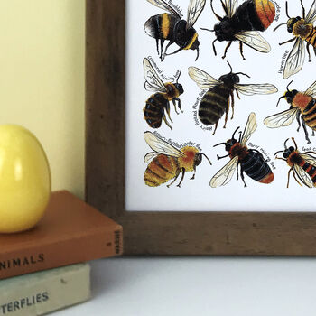 Bees Of Britain Wildlife Watercolour Print, 5 of 6