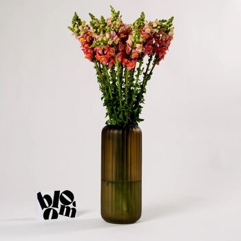 Coral Snapdragons Fresh Flower Bouquet, 2 of 3