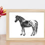 Appaloosa Horse Art Print, thumbnail 1 of 3