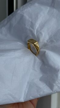 Pet Print Ring Kit, 6 of 6