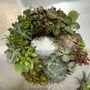Succulent Wreath, thumbnail 1 of 4