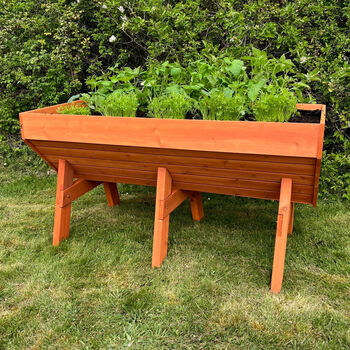 Large Raised Vegetable Planter With Three Liners, 8 of 11