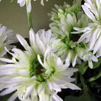 Artificial Potted Daisy Flowering Plant White, 2 of 6