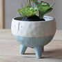 Gerald Planters, thumbnail 4 of 4