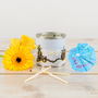 Pina Colada Pineapple And Coconut Candle Tin, thumbnail 2 of 4