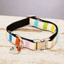 Thurlestone Rainbow Pastel Striped Dog Collar, thumbnail 1 of 7
