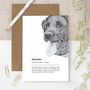 Black Labrador Illustration Card For Dog Lovers, thumbnail 1 of 6