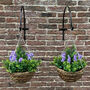 Set Of Two Artificial Topiary Lavender Hanging Baskets, thumbnail 3 of 4