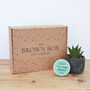 Stylish Succulent Plant And Hand Care Gift Set, thumbnail 2 of 3