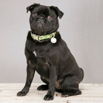 The Alderley Green Botanical Dog Collar, 5 of 7