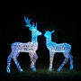 Twinkly Smart LED Acrylic Christmas Stag And Doe, thumbnail 2 of 4