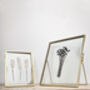 Set Of Two: Pressed Flower Frames, thumbnail 5 of 8