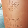 Engraved Bee Plant Pot, thumbnail 4 of 7