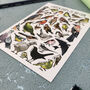 Garden Birds Of Britain Illustrated Postcard, thumbnail 6 of 11