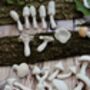 Porcelain Terrarium Fungi, thumbnail 5 of 9