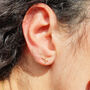 Pisces Star Sign Constellation Astrology Tiny Earrings, thumbnail 2 of 4