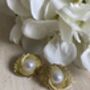 Gold Sunburst Pearl Stud Earrings, thumbnail 5 of 6