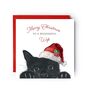Merry Christmas To A Wonderful Wife Festive Cat Christmas Card, thumbnail 1 of 4