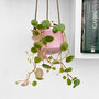 String Of Coins Exotic Hanging House Plant In 6cm Pot, thumbnail 1 of 3