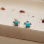 Gili Sea Turtle Turquoise Silver Stud Earrings, thumbnail 2 of 12