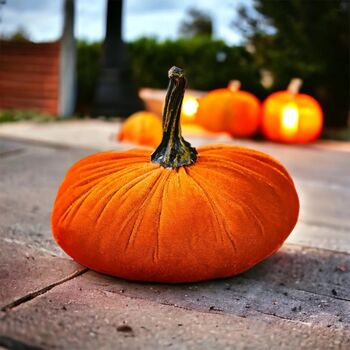 Autumn And Halloween Decor 15cm Velvet Pumpkins Free Lights, 4 of 10