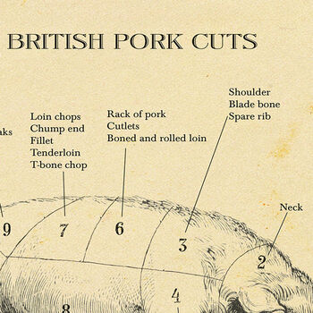 British Pork Butcher Cuts Print, 7 of 8