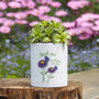 Daisy Flowers 'Thank You For Helping Me Grow' Ceramic Pot Gift For Teacher, thumbnail 1 of 2