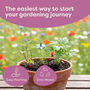 Personalised Indoor Flower Jar Garden Kit, thumbnail 10 of 12