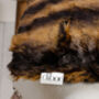 Extra Soft Luxury Faux Fur Cushion, thumbnail 6 of 6