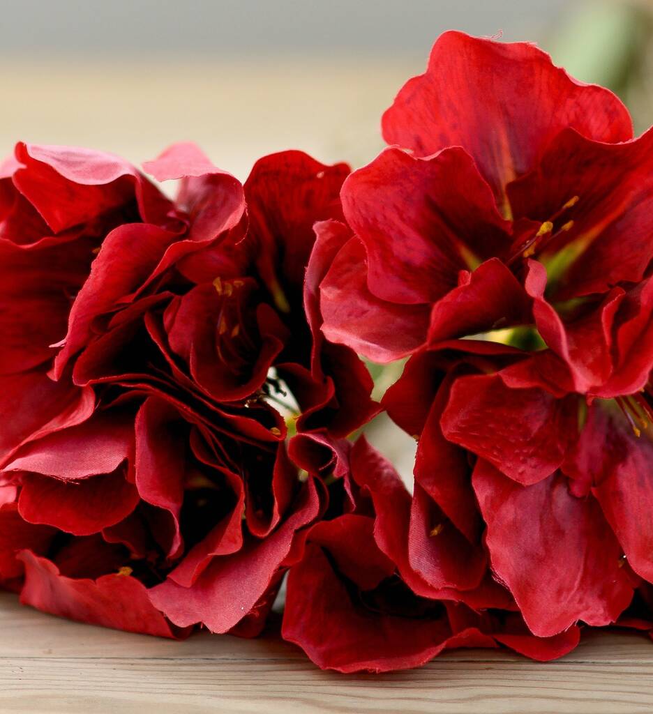 Artificial Red Amaryllis Flower Bunch By The Flower Studio