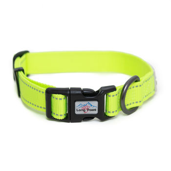 Neon Reflective Dog Collar And Lead Set, 4 of 5