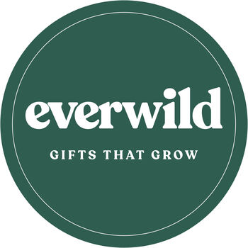 Personalised Wedding Day Gift | Indoor Pot Add Plant, 7 of 7