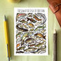 Freshwater Fish Of Britain Watercolour Postcard, thumbnail 1 of 4