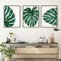 Set Of Three Monstera Leaves Botanical Prints, thumbnail 1 of 6