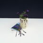 Purple Petals Miniature Bee House Garden Gift Box, thumbnail 5 of 7